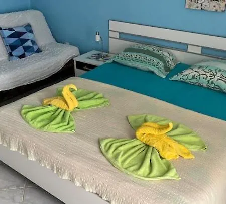 Pansion Michel 3* Liznjan