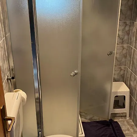 Pansion Michel 3* Liznjan