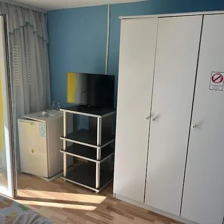 Pansion Michel 3* Liznjan