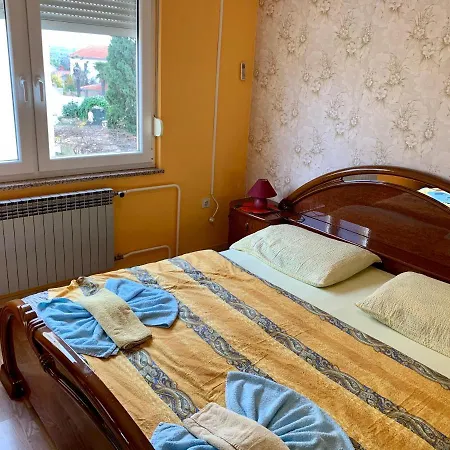 Pansion Michel Guest house Liznjan